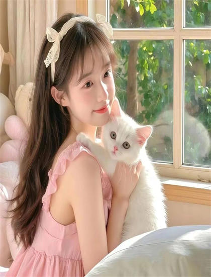 图雅的婚事系列作品比较：各部特点与优劣全面分析，影院同步